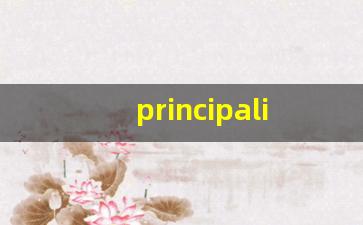 principality什么意思,principality中文翻译,principality用法及例句,principality怎么读-第1张图片-我的生活随想