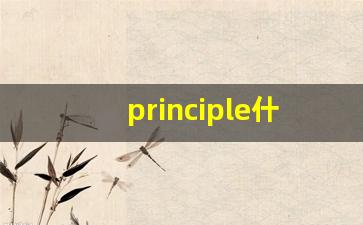 principle什么意思,principle中文翻译,principle用法及例句,principle怎么读-第1张图片-我的生活随想