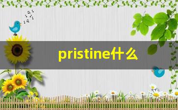 pristine什么意思,pristine中文翻译,pristine用法及例句,pristine怎么读-第1张图片-我的生活随想