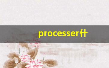 processer什么意思,processer中文翻译,processer用法及例句,processer怎么读-第1张图片-我的生活随想