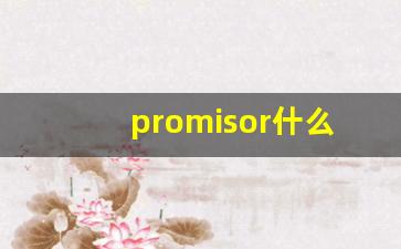 promisor什么意思,promisor中文翻译,promisor用法及例句,promisor怎么读-第1张图片-我的生活随想