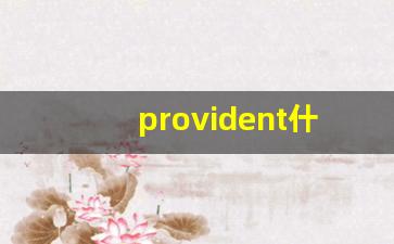 provident什么意思,provident中文翻译,provident用法及例句,provident怎么读-第1张图片-我的生活随想