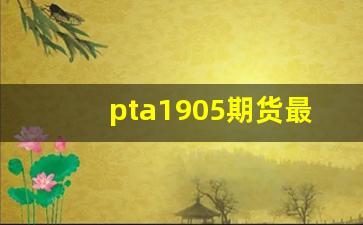 pta1905期货最新行情(pta1909期货)_https://www.jumanxin.com_创业板_第1张