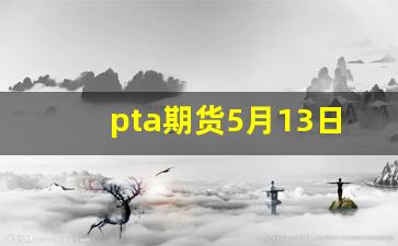pta期货5月13日行情(pta期货最新行情分析)_https://www.haiwangdasha.com_郑商所_第1张