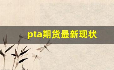 pta期货最新现状(pta期货的现状)_https://www.nalian8.com_北交所_第1张