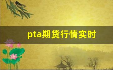 pta期货行情实时(pta期货最新消)_https://www.haiwangdasha.com_上期能源_第1张