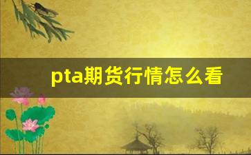 pta期货行情怎么看(pta期货怎么交易)_https://www.fzdzcxj.com_创业板_第1张