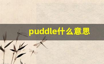 puddle什么意思,puddle中文翻译,puddle用法及例句,puddle怎么读-第1张图片-我的生活随想