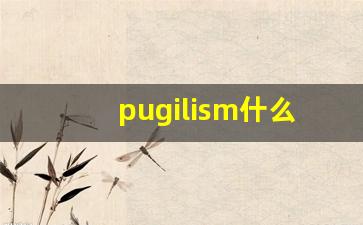 pugilism什么意思,pugilism中文翻译,pugilism用法及例句,pugilism怎么读-第1张图片-我的生活随想