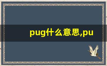 pug什么意思,pug中文翻译,pug用法及例句,pug怎么读-第1张图片-我的生活随想