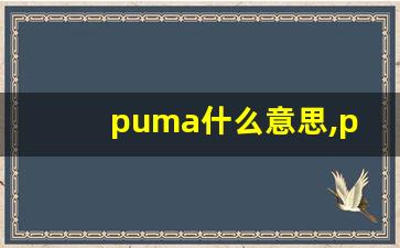 puma什么意思,puma中文翻译,puma用法及例句,puma怎么读-第1张图片-我的生活随想