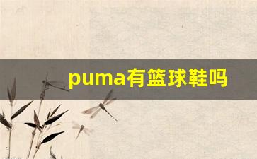 puma有篮球鞋吗-puma篮球鞋实战测