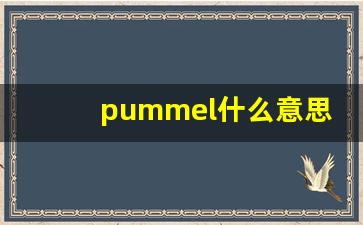 pummel什么意思,pummel中文翻译,pummel用法及例句,pummel怎么读-第1张图片-我的生活随想