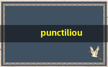 punctilious什么意思,punctilious中文翻译,punctilious用法及例句,punctilious怎么读-第1张图片-我的生活随想