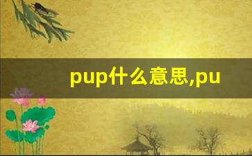 pup什么意思,pup中文翻译,pup用法及例句,pup怎么读-第1张图片-我的生活随想