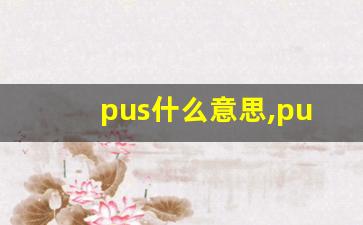pus什么意思,pus中文翻译,pus用法及例句,pus怎么读-第1张图片-我的生活随想