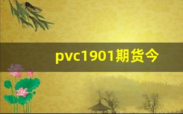 pvc1901期货今日行情(pvc2101期货行情)_https://www.gdbxwh.com_代运营_第1张