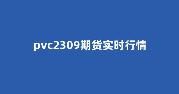 pvc2309期货实时行情(pvc2109期货实时行情)_https://www.jnskb.com_效果图_第1张