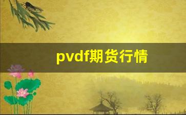 pvdf期货行情(pvc期货价格实时行情)_https://www.haiwangdasha.com_中金所_第1张