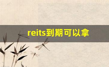 reits到期可以拿回本金吗(reits多久可以卖)_https://www.haiwangdasha.com_大商所_第1张