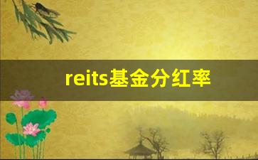 reits基金分红率(reits基金分红后会除息吗)_https://www.hhem8.com_上交所_第1张