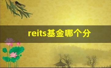 reits基金哪个分红高(reits基金 分红)_https://www.nalian8.com_创业板_第1张