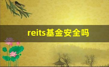reits基金安全吗(reits基金怎么购买)_https://www.hangfeite.com_上交所_第1张