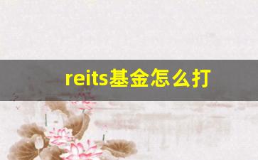 reits基金怎么打新(reits基金的交易规则)_https://www.jumanxin.com_深交所_第1张