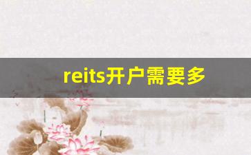 reits开户需要多少钱(reits基金开户条件)_https://www.wguangz.com_大商所_第1张