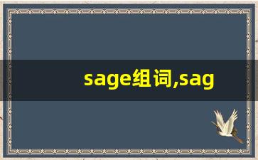 sage组词,sage中文翻译,sage造句,sage的发音-第1张图片-我的生活随想