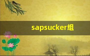 sapsucker组词,sapsucker中文翻译,sapsucker造句,sapsucker的发音-第1张图片-我的生活随想