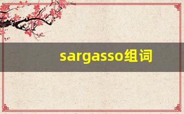 sargasso组词,sargasso中文翻译,sargasso造句,sargasso的发音-第1张图片-我的生活随想