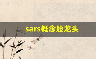 sars概念股龙头(sars 股市)_https://www.heiljjianzu.com_上交所_第1张