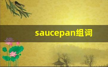 saucepan组词,saucepan中文翻译,saucepan造句,saucepan的发音-第1张图片-我的生活随想
