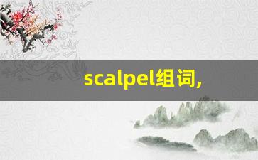 scalpel组词,scalpel中文翻译,scalpel造句,scalpel的发音-第1张图片-我的生活随想