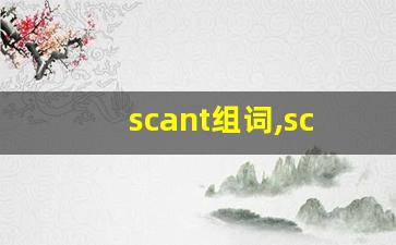 scant组词,scant中文翻译,scant造句,scant的发音-第1张图片-我的生活随想