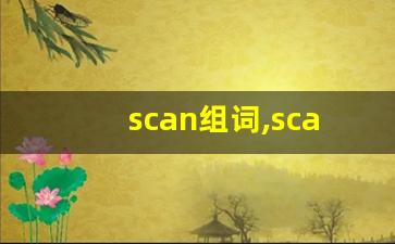 scan组词,scan中文翻译,scan造句,scan的发音-第1张图片-我的生活随想