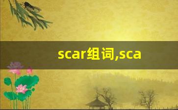 scar组词,scar中文翻译,scar造句,scar的发音-第1张图片-我的生活随想