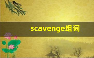 scavenge组词,scavenge中文翻译,scavenge造句,scavenge的发音-第1张图片-我的生活随想