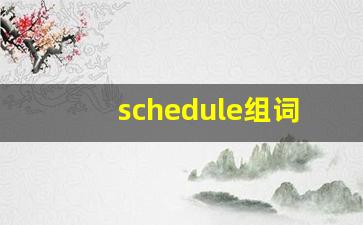schedule组词,schedule中文翻译,schedule造句,schedule的发音-第1张图片-我的生活随想