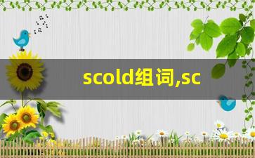 scold组词,scold中文翻译,scold造句,scold的发音-第1张图片-我的生活随想