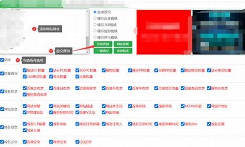 seo 查询_seo查询 站长工具