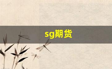 sg期货(期货sg是什么意思)_https://www.xzdzchf.com_创业板_第1张