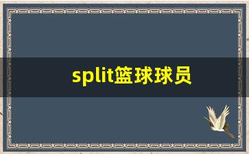 speiling篮球-split篮球球员