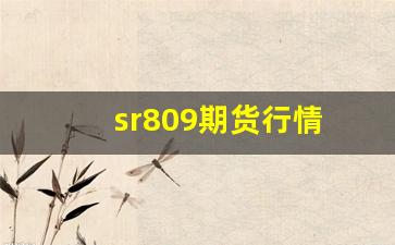 sr809期货行情(t2009期货)_https://www.haiwangdasha.com_广期所_第1张
