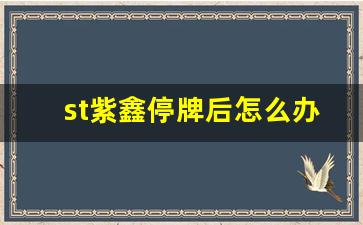 st紫鑫停牌后怎么办(紫鑫药业股票会退市吗)_https://www.kairu168.com_上期所_第1张
