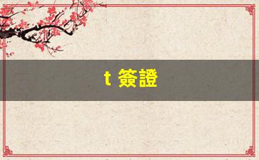 t 簽證(什么是OPT簽證)