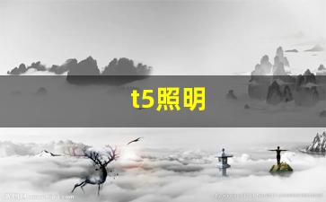 t5照明-T5照明灯生产线巡检报表