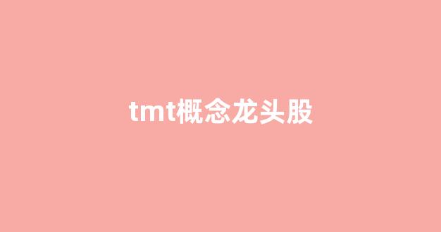 tmt概念龙头股(tmt龙头股票)_https://www.heiljjianzu.com_北交所_第1张