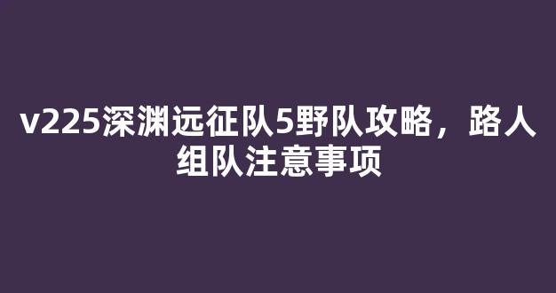 v225深渊远征队5野队攻略，路人组队注意事项
